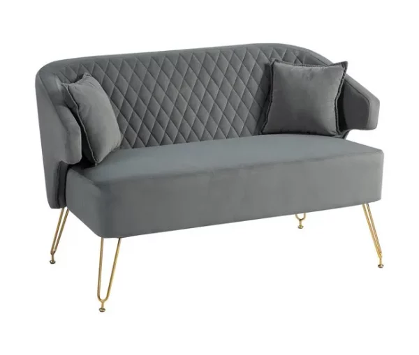 HOMCOM Sofá de 2 Lugares Estofado em Veludo Sofá Sala de Estar com 2 Almofadas Apoio para o Braço e Pés de Aço Dourado Sofá Pequeno Carga 240 kg para Dormitório Escritório 124x69x76 cm Cinza